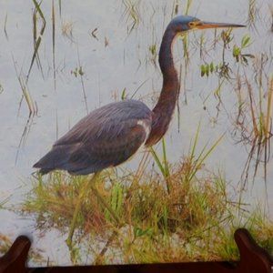 COPY - Canvas art 8 x 8